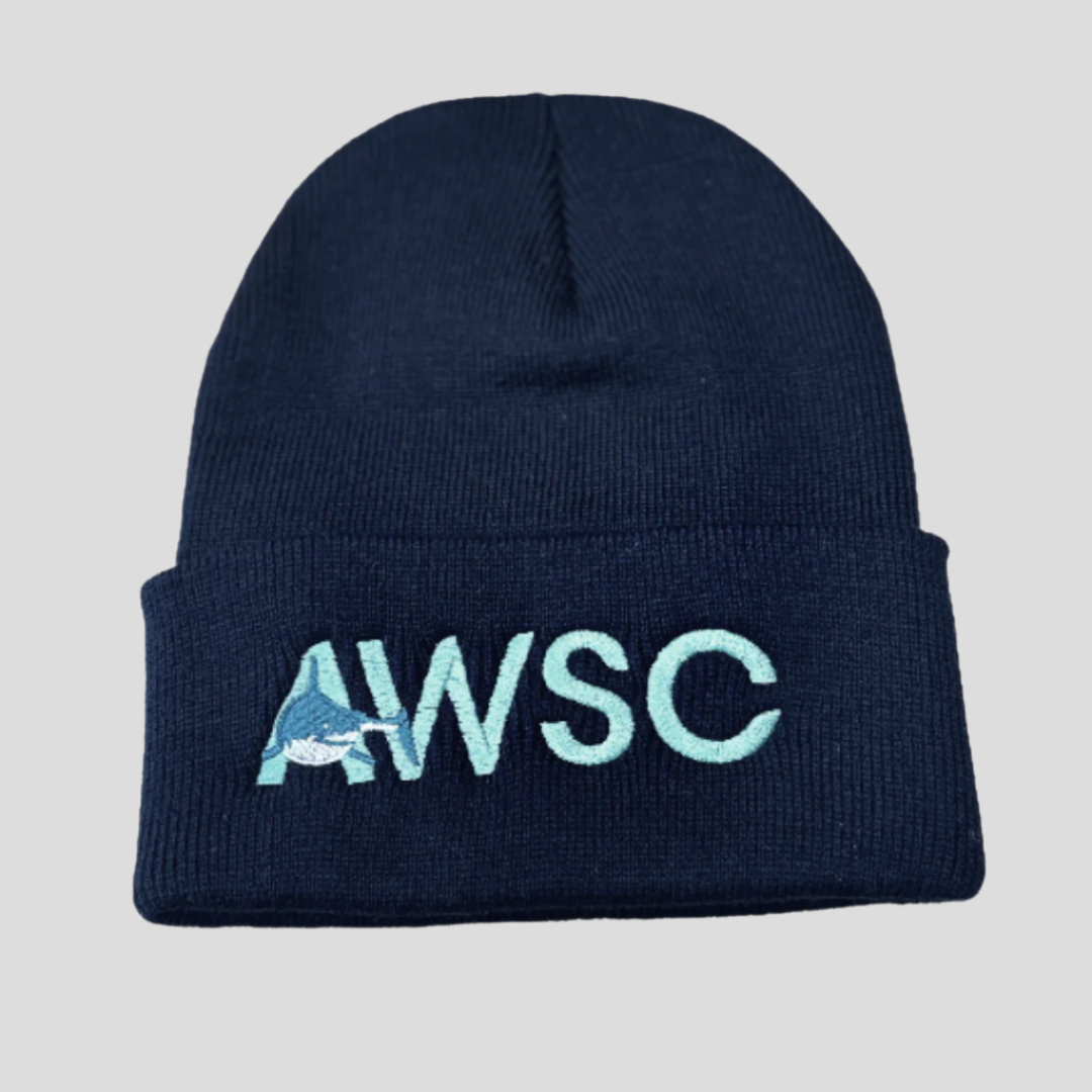 Cuffed Knit Beanie