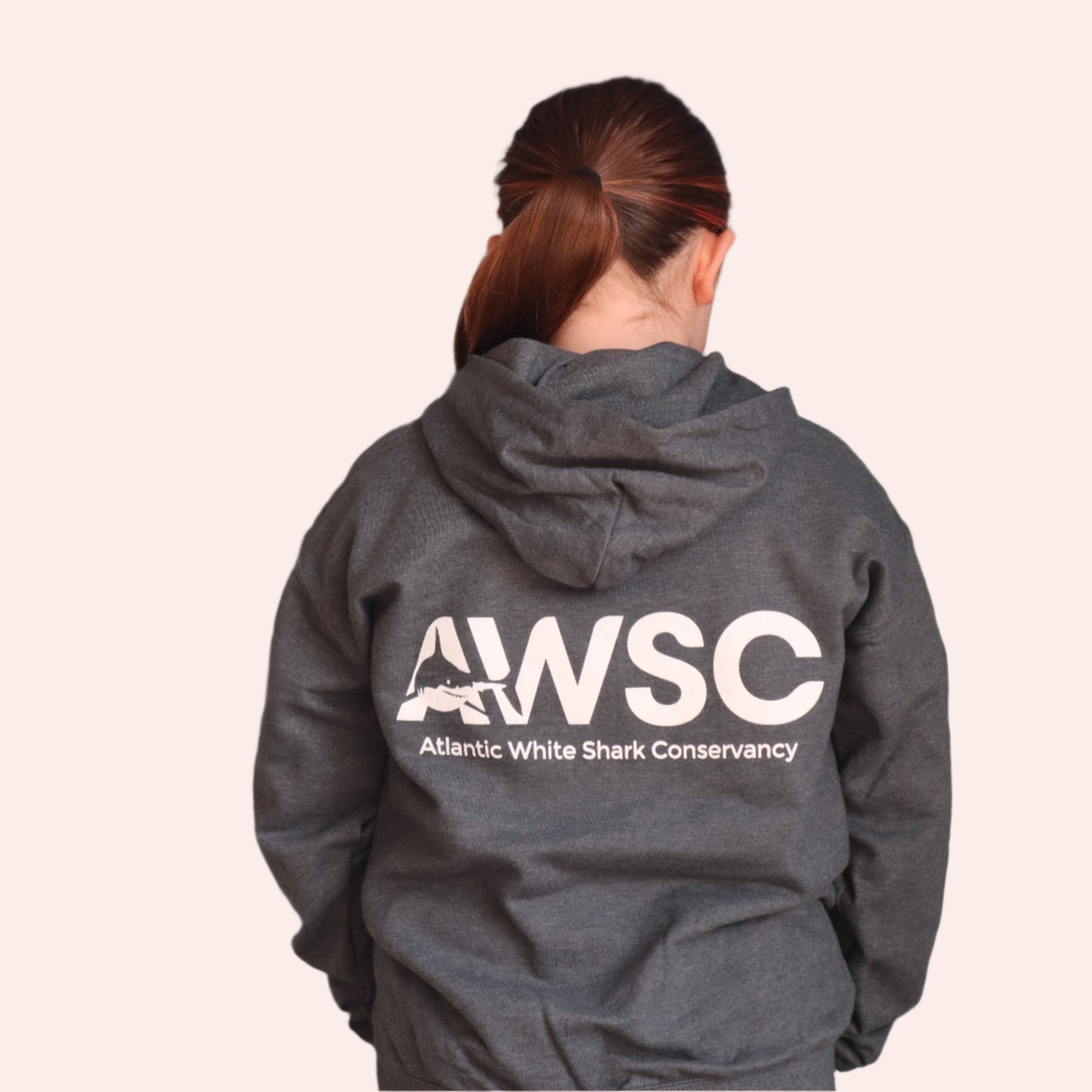Youth Shark Anatomy Hooded Sweatshirt