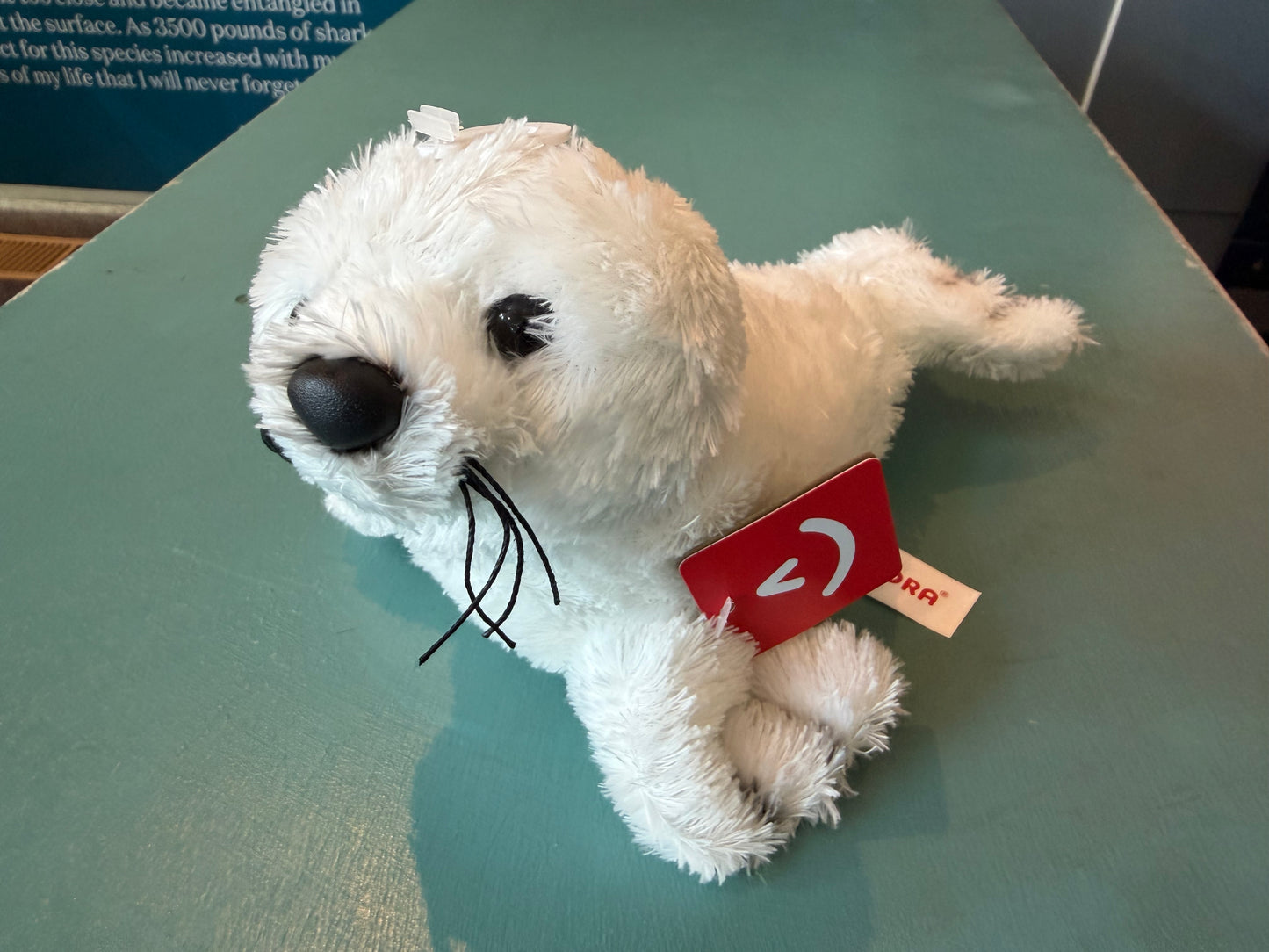 Seal Pup Stuffy