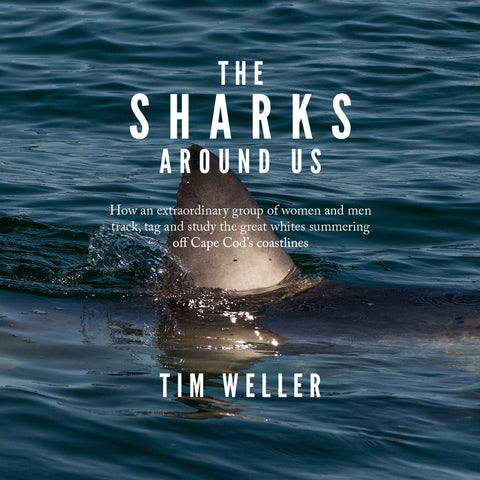 Book - The Sharks Around Us by Tim Weller