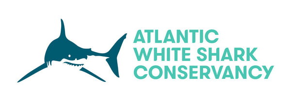 Atlantic White Shark Conservancy