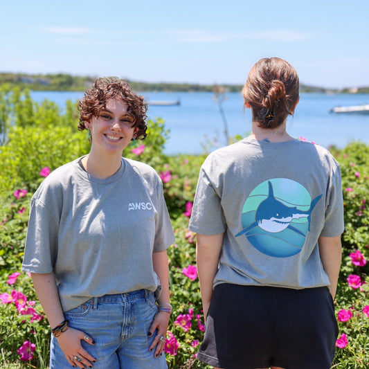 Logo Shark Short Sleeve