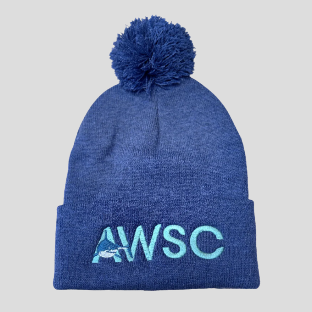 Pom Pom Cuffed Beanie