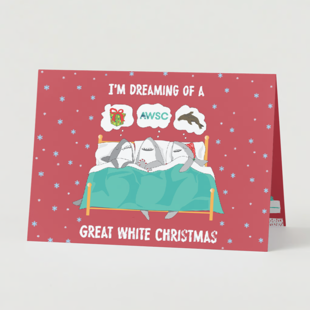 Holiday Card 5 Pack