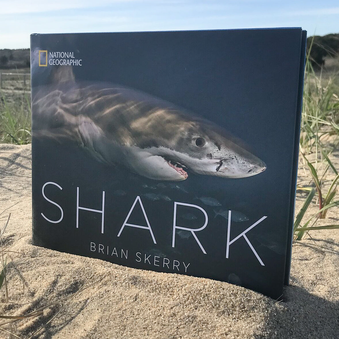 Book - Shark by Brian Skerry